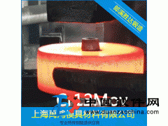 來圖來樣加工定制Cr12MoV鍛件  可沖孔