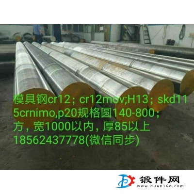 模具鋼鋼材，鋼錠，鍛材