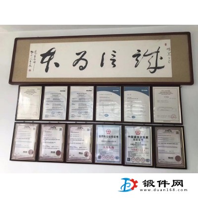法蘭，鍛件
