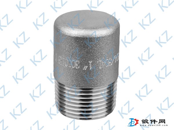 供應各種熱銷高壓不銹鋼鍛件