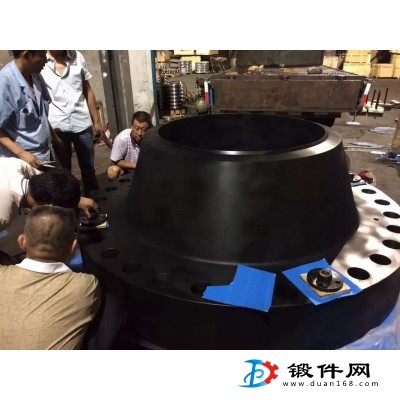 供應大型法蘭