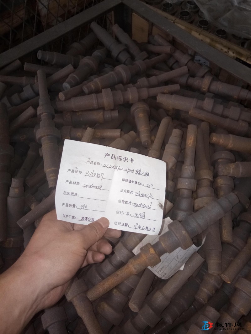 軸類，盤齒類的鍛件及精坯