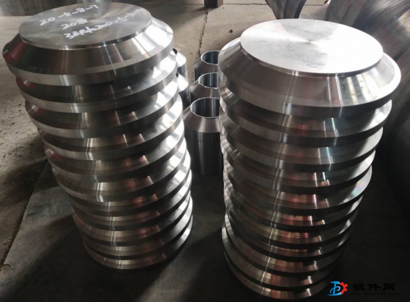 端蓋，法蘭蓋，管接頭，接管等壓力容器鍛件