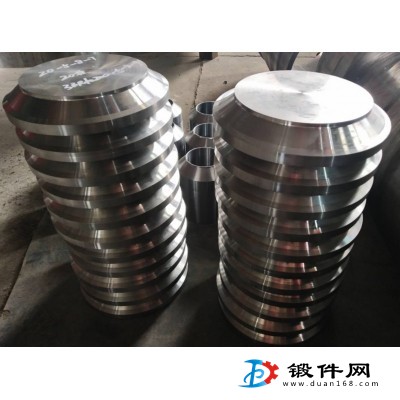 端蓋，法蘭蓋，管接頭，接管等壓力容器鍛件