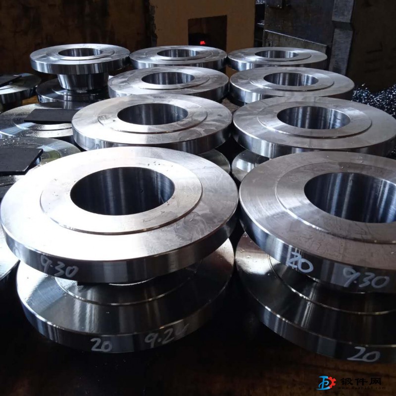 高壓鍛制對焊法蘭DN80