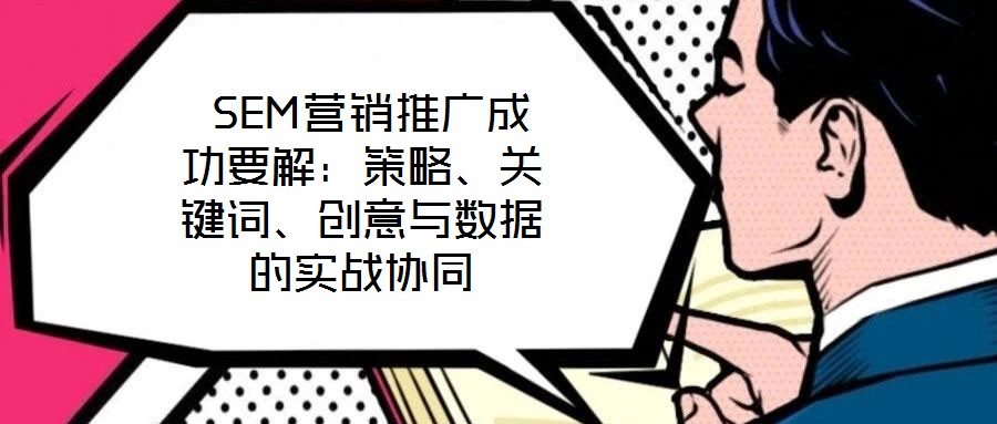  SEM營銷推廣成功要解：策略、關鍵詞、創(chuàng)意與數(shù)據(jù)的實戰(zhàn)協(xié)同