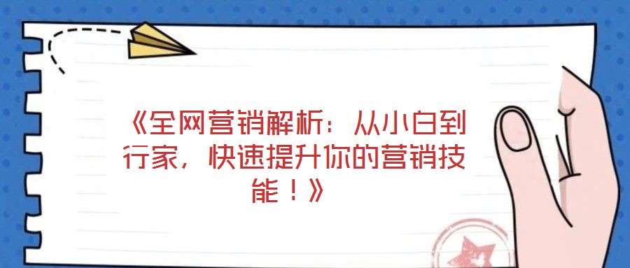 《全網(wǎng)營銷解析：從小白到行家，快速提升你的營銷技能！》