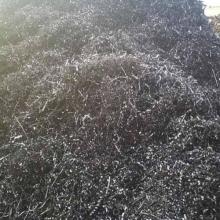 唐山求購法蘭鐵銷，鍛件機加工鐵銷