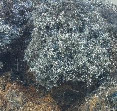 河北滄州回收熟鐵銷