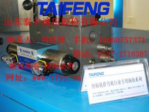 山東泰豐剪板機折彎機行業閥塊系列